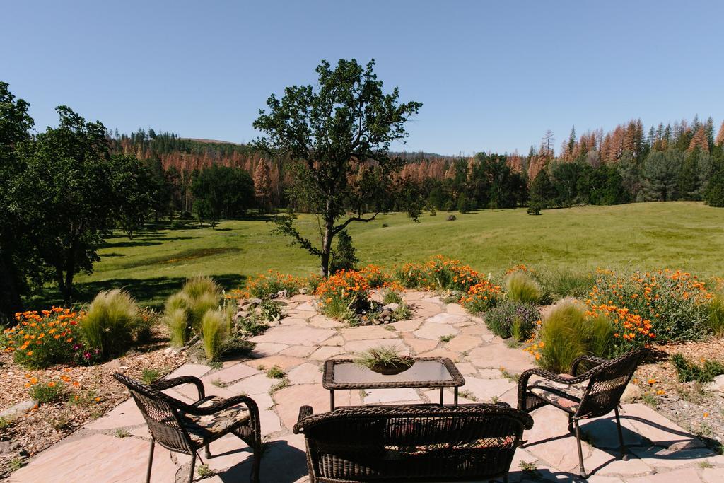 Bed and Breakfast Red Tail Ranch Groveland Esterno foto