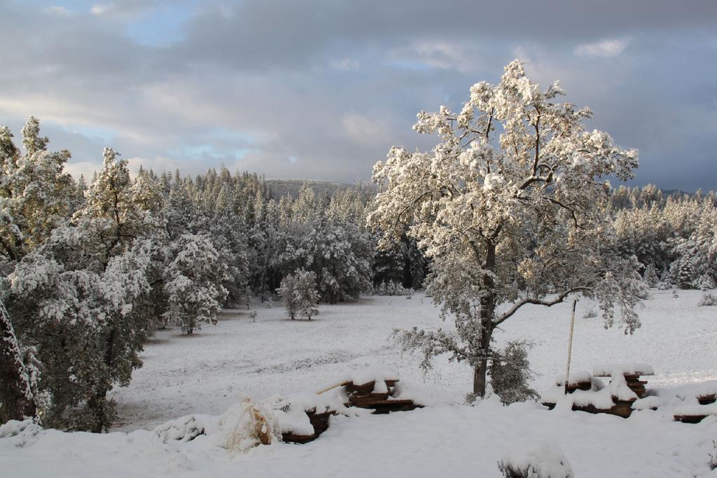 Bed and Breakfast Red Tail Ranch Groveland Esterno foto
